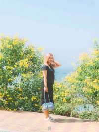 🌅 มุมถ่ายรูปพัทยาสุดฮิตฟีลเกาหลี ปูซาน