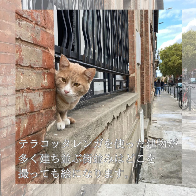 【南フランス・トゥールーズ】無料で巡る観光名所2選