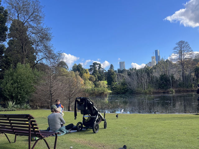 Royal Botanic Gardens Victoria - Melbourne Gardens