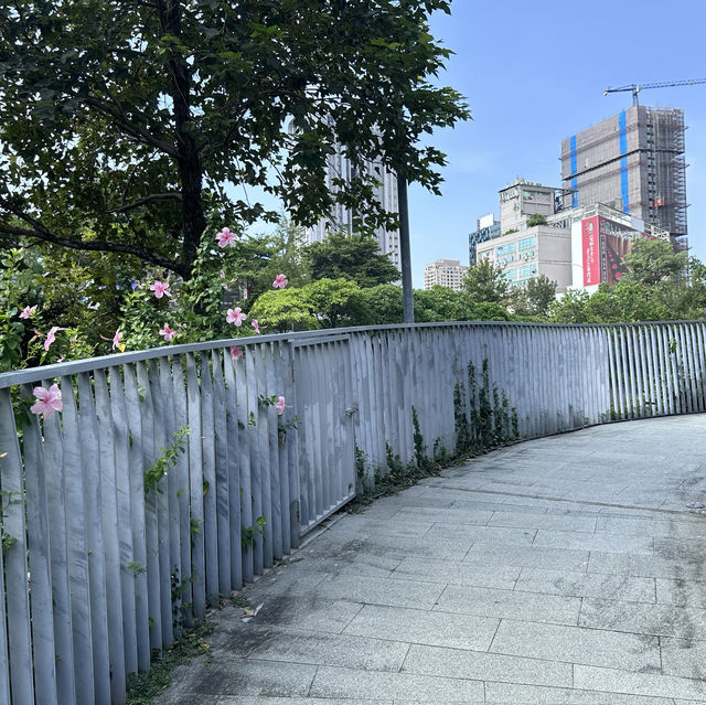 **🍂 台中秋紅谷 | 都市のオアシス、四季折々の美しさを感じる場所**