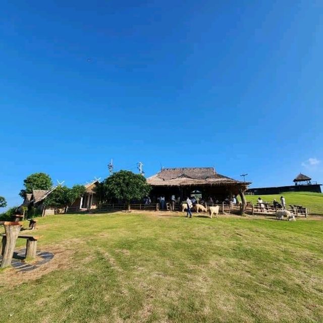 Akha Farmville 🐑