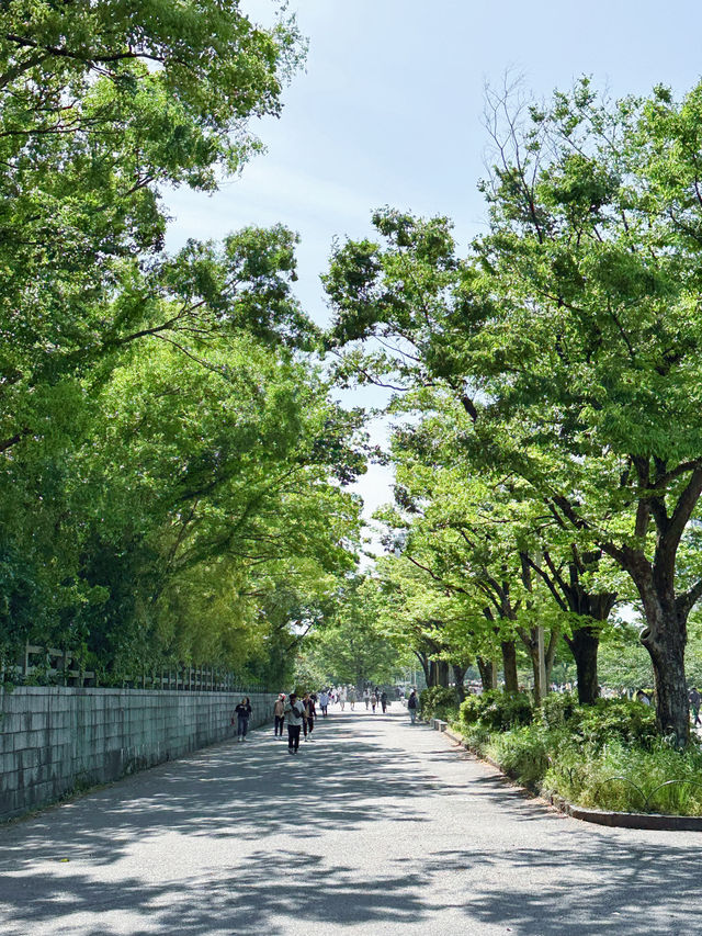 ✈️日本大阪豐國神社絕美純白蕾絲繡花御守🤎