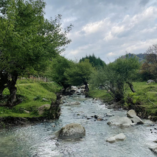 阿寺溪谷🤩仙境綠野