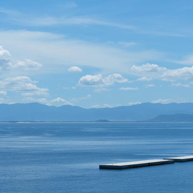  八丈島：悠閒小島的慢生活🌴🌊