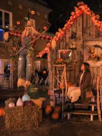 【ケベック🇨🇦】フランスっぽい街で見つけたハロウィン🎃