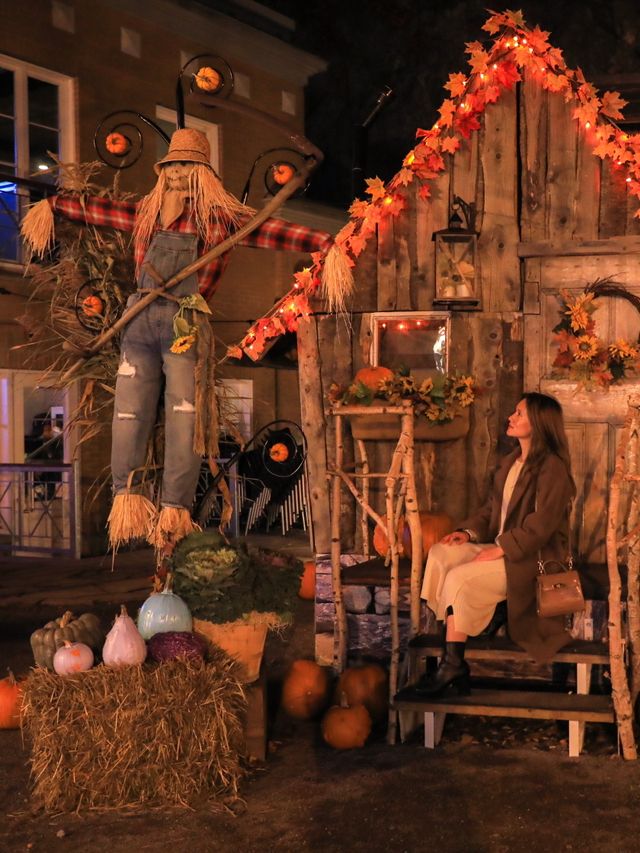 【ケベック🇨🇦】フランスっぽい街で見つけたハロウィン🎃