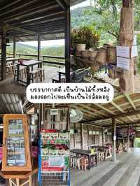 เที่ยวไร่ชาลุงเดชหน้าฝน🌱🌧️