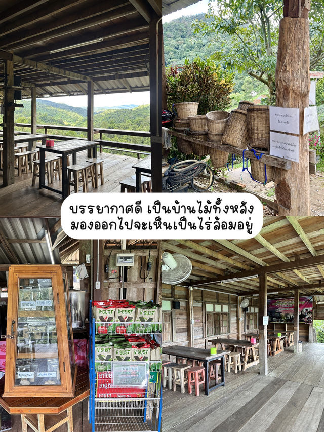 เที่ยวไร่ชาลุงเดชหน้าฝน🌱🌧️