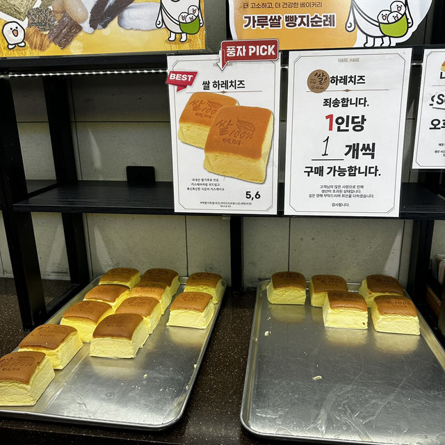 대전 빵지순례 1탄 - 풍자또간집/하레하레