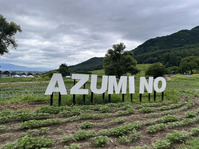 国営アルプスあづみの公園@長野・安曇野🌻