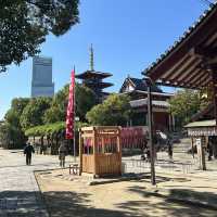 【大阪/天王寺】都会にある大きなお寺👀