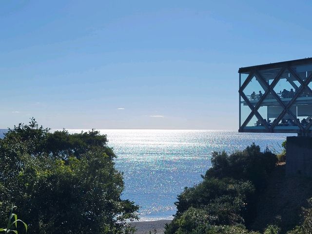 來高知的無敵海景餐廳看太平洋吧！