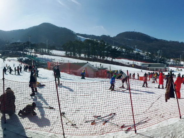 首爾冬季魅力：香草島樂園、滑雪、冰釣與韓食的精彩四重奏