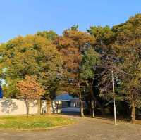日本中部之旅：名城公園