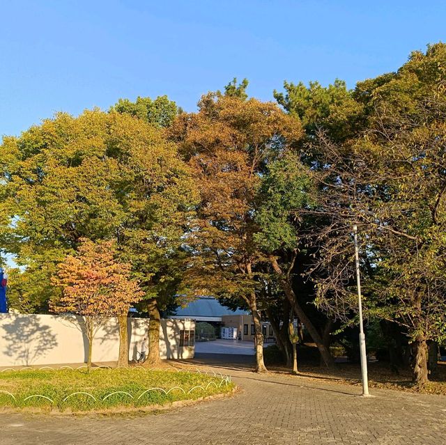 日本中部之旅：名城公園