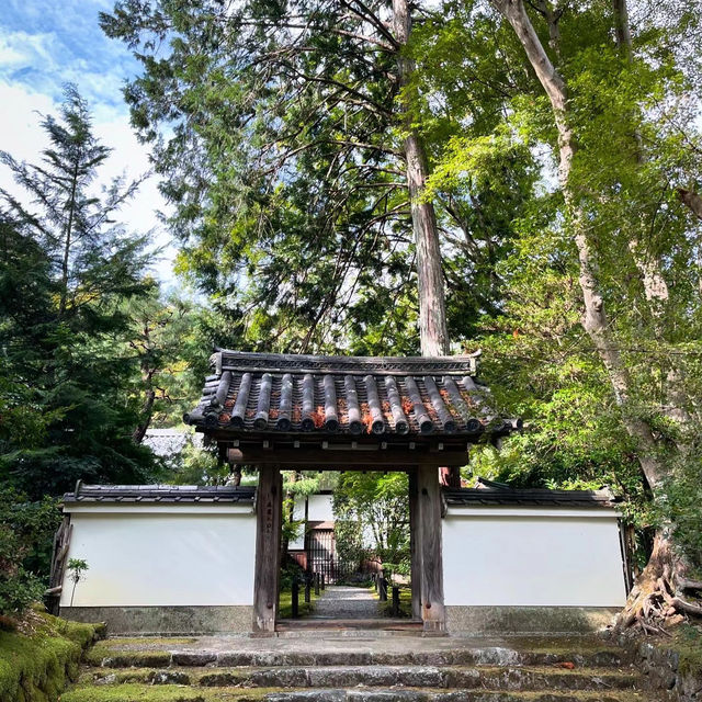 #竹林山松月院：在竹林深處尋找禪意的樂趣！🎍🧘‍♂️