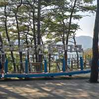 소금산 출렁다리(원주)