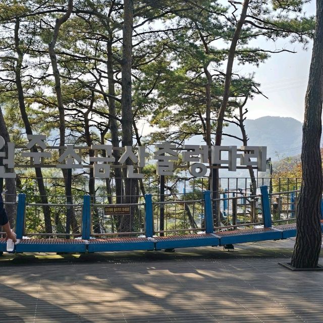 소금산 출렁다리(원주)