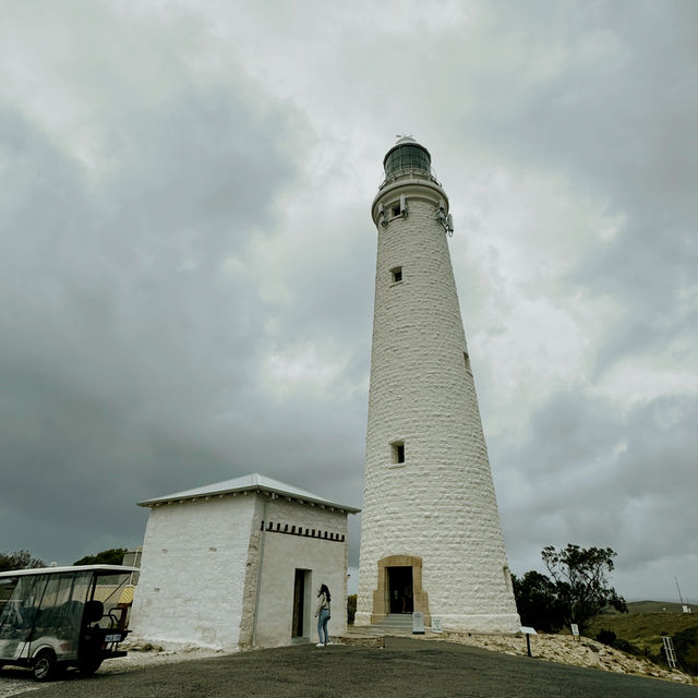 Wadjemup Lighthouse：羅特尼斯島的燈塔奇觀 🌅🏮