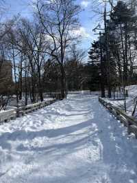 【北海道旅行】浪漫冬季中島公園，適合情侶和家庭放鬆享受美好冬季