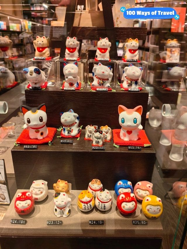 Tsutaya Books, Photogenic Bookstore for Books and Gifts