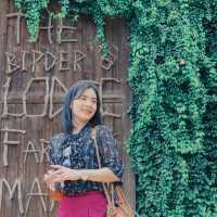 The Birder's Lodge - คาเฟ่เขาใหญ่