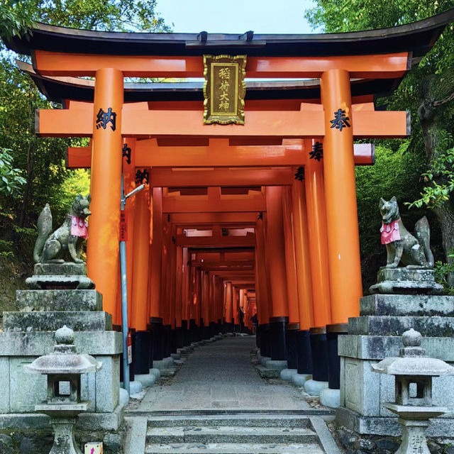 ⛩ 伏見稻荷大社：紅色千鳥居的神秘之旅