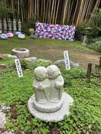 【福岡 田川】色とりどりの風車が飾られる風車祭り🫧