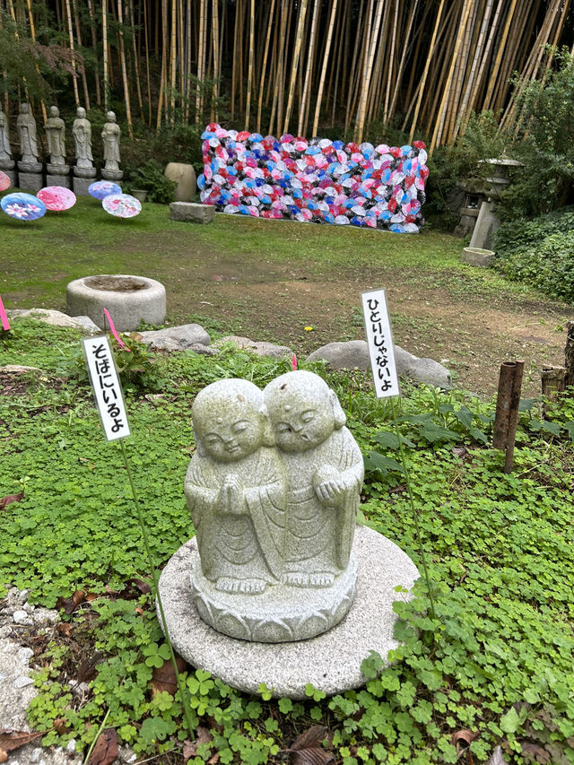 【福岡 田川】色とりどりの風車が飾られる風車祭り🫧