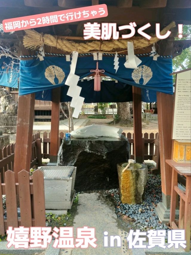 美肌になりたい！美肌の湯【嬉野温泉】