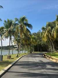 The most beautiful park in Bucheng🌴