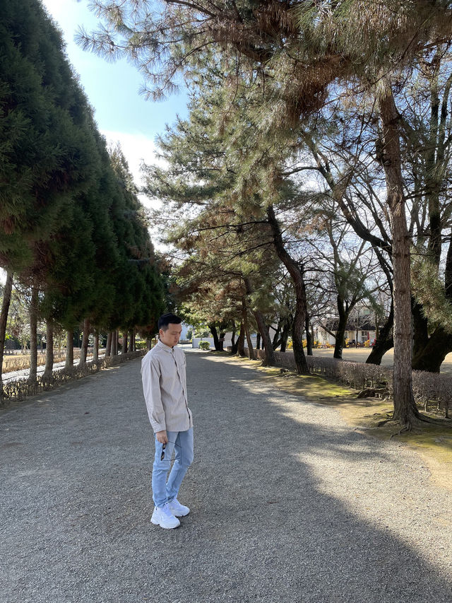 《熊本水前寺成趣園》：尋找寧靜與自然之美的心靈之旅