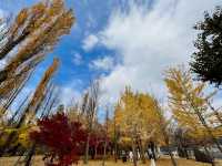 Autumn in Oike Park