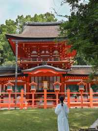 【奈良の世界遺産】春日大社⛩️