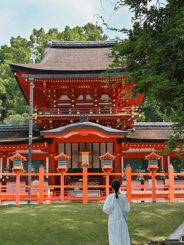 【奈良の世界遺産】春日大社⛩️