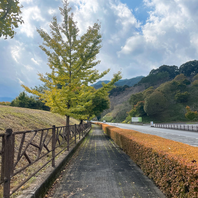 【宇目】祖母傾ユネスコエコパーク登録決定！景色抜群道の駅✨
