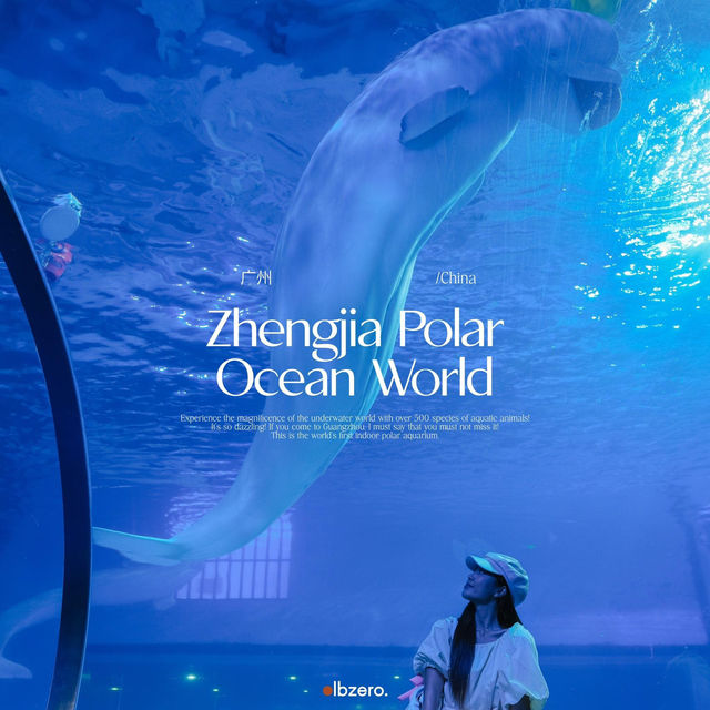 พาเที่ยวอควาเรียมกวางโจวZhengjia Polar Ocean World