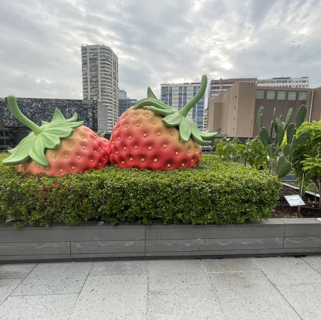 都市農莊享另類的城市生活