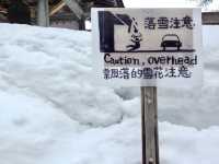 【岐阜県・白川】世界遺産 x 雪景色⛄️
