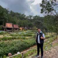 lang cu lan
