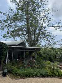 🇮🇩Must Visit Cafe in Uluwatu, Bali! Alchemy Uluwatu💕