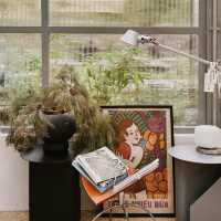 The Glasshopper 