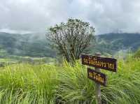 ภูอานม้า จ.พะเยา