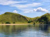 Komodo island - actual home of dragons 