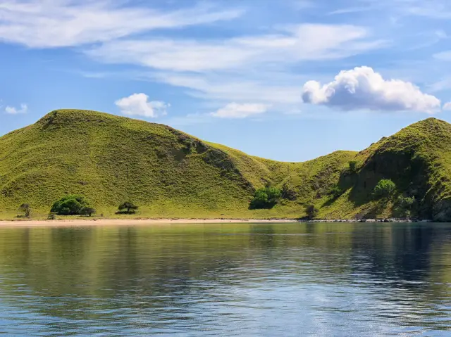Komodo island - actual home of dragons