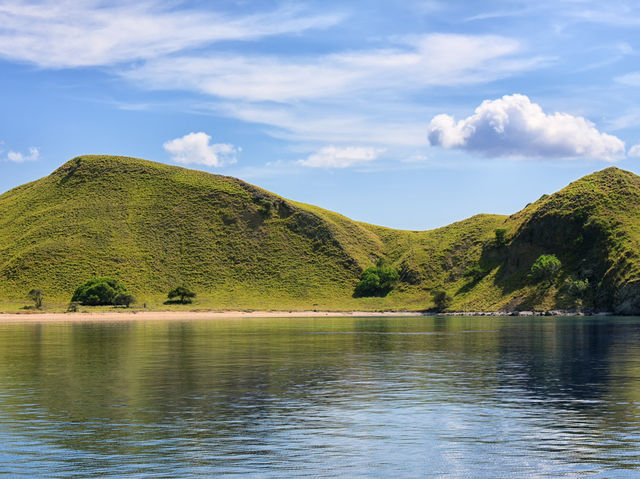Komodo island - actual home of dragons 