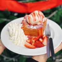 #Christmascafe #รีวิวคาเฟ่ #Minimohouse 