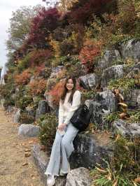 Exploring Ewha Womans University: A Beautiful Blend of Tradition and Modernity