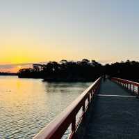 Top 3 views of Japan at Matsushima! 