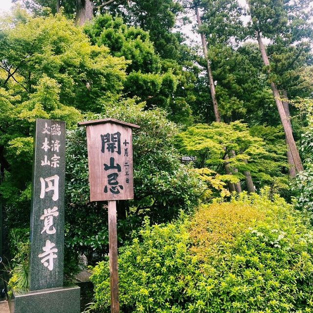 【鎌倉×円覚寺】歴史と自然に包まれる荘厳な寺院